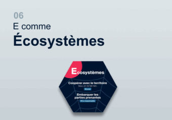 Image en-tête article - E comme Écosystèmes
