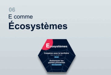 Image en-tête article - E comme Écosystèmes