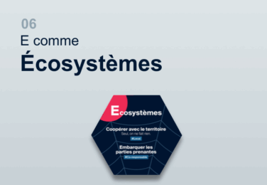 Image en-tête article - E comme Écosystèmes