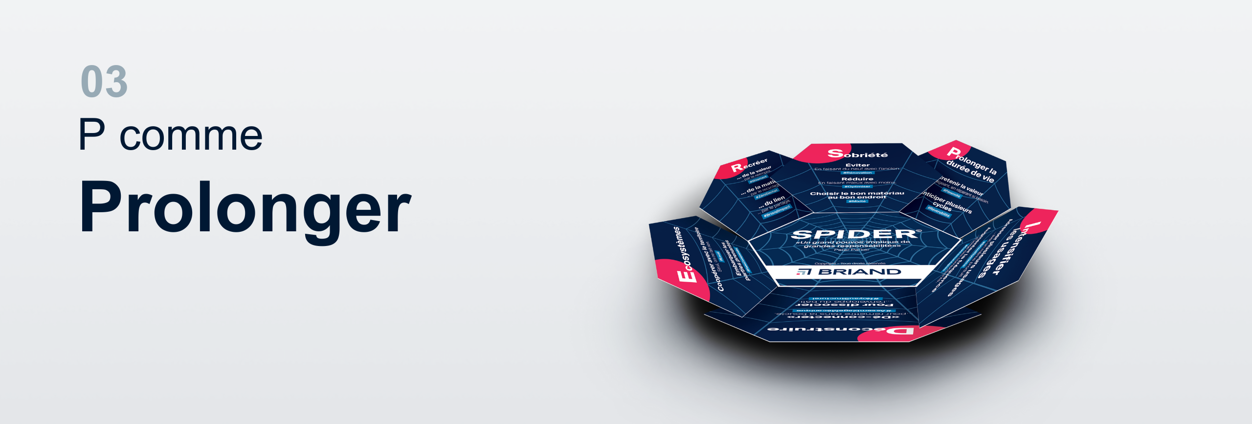 Site Web P