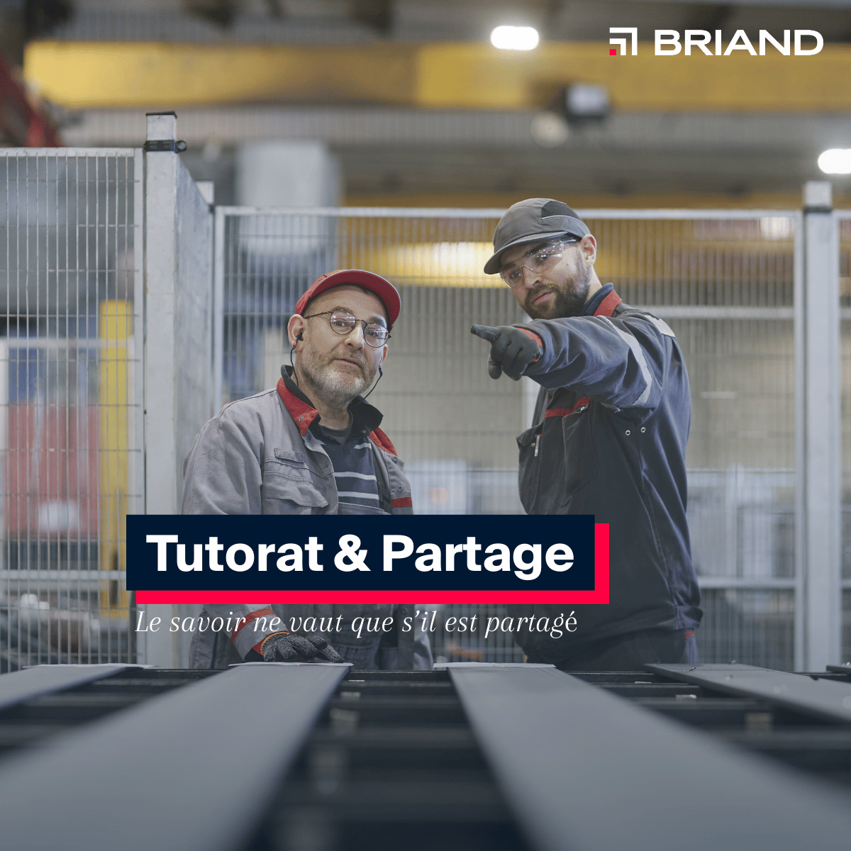 Grandir chez BRIAND : un engagement qui se construit au quotidien.