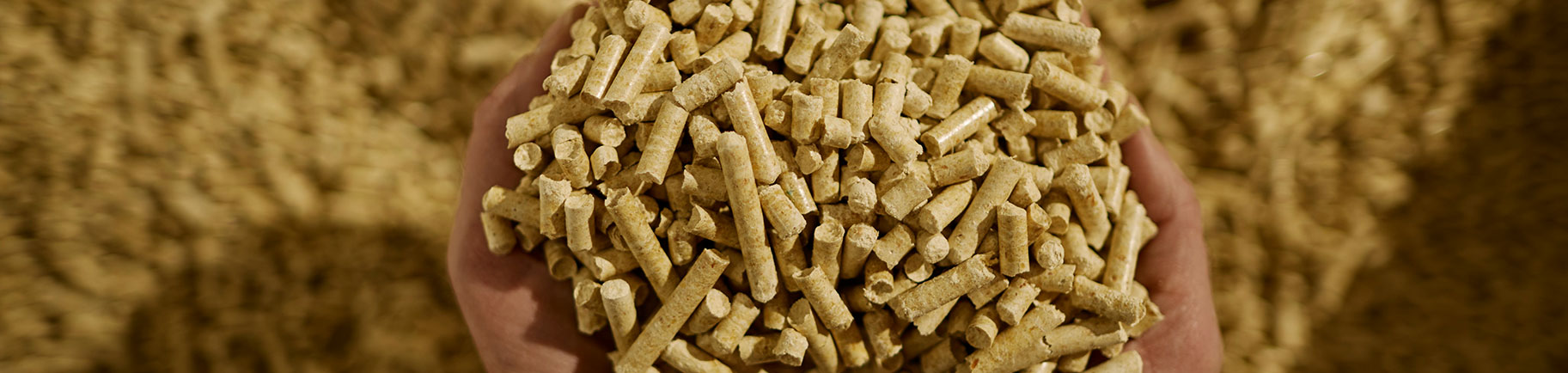 Journee-mondiale-recyclage-fabrication-pellets-BRIAND-bois-1825x434