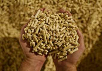 Journee-mondiale-recyclage-fabrication-pellets-BRIAND-bois-265x150