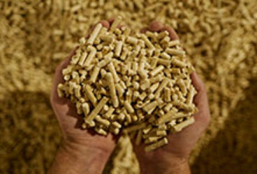 Journee-mondiale-recyclage-fabrication-pellets-BRIAND-bois-265x150