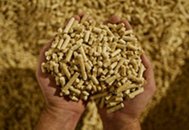 Journee-mondiale-recyclage-fabrication-pellets-BRIAND-bois-265x150