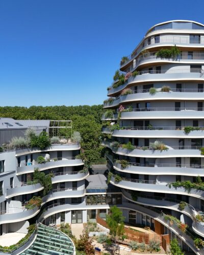 Arborescence-Briand-07