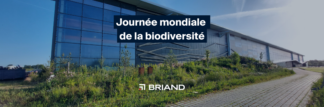 journée de la biodiversité (1)